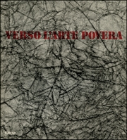 Verso l'Arte Povera : Momenti e Aspetti degli Anni Sessanta in Italia